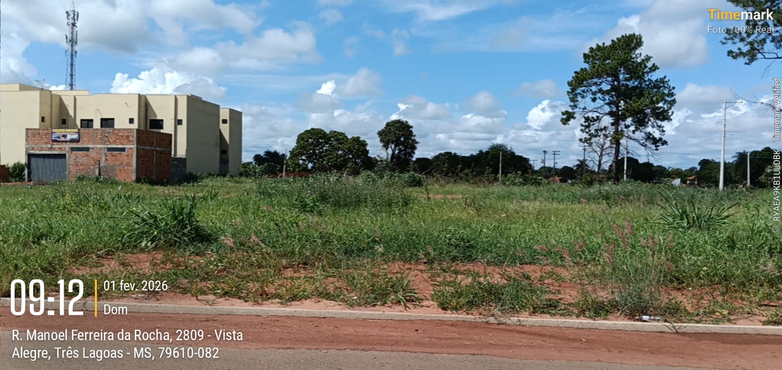 Foto do local — TLG-09